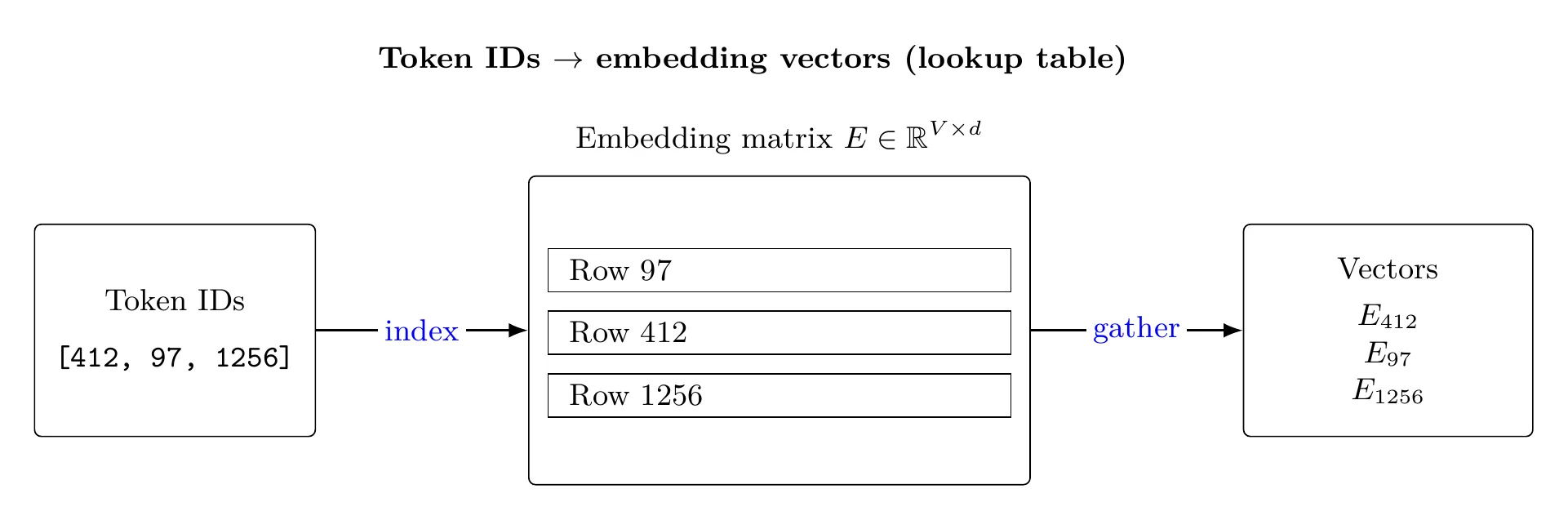 Token IDs are used to look up embedding vectors from a learned matrix